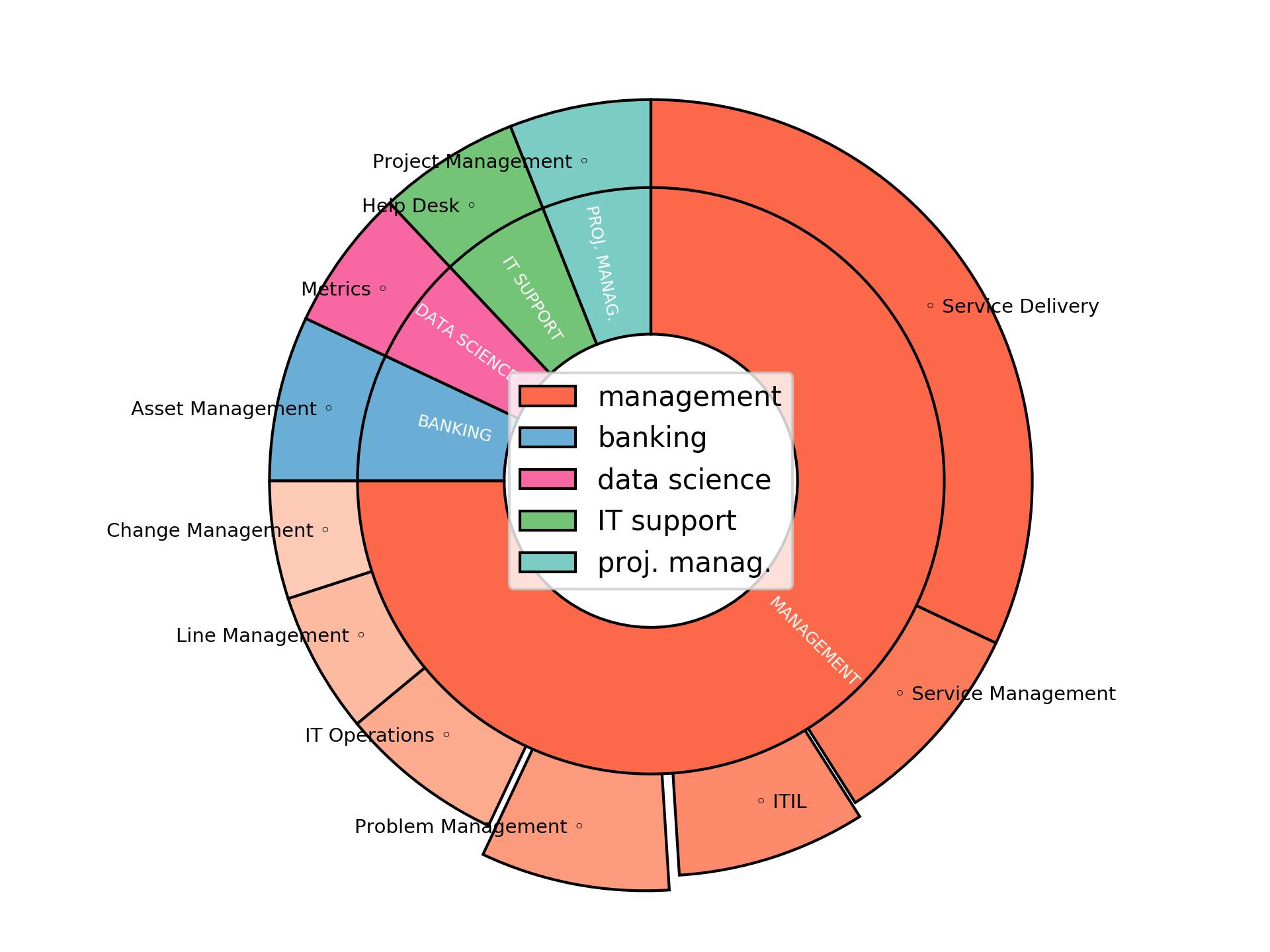 Work Domains - Head of IT Service Disaggregated Visualization Graph for Head of IT Service