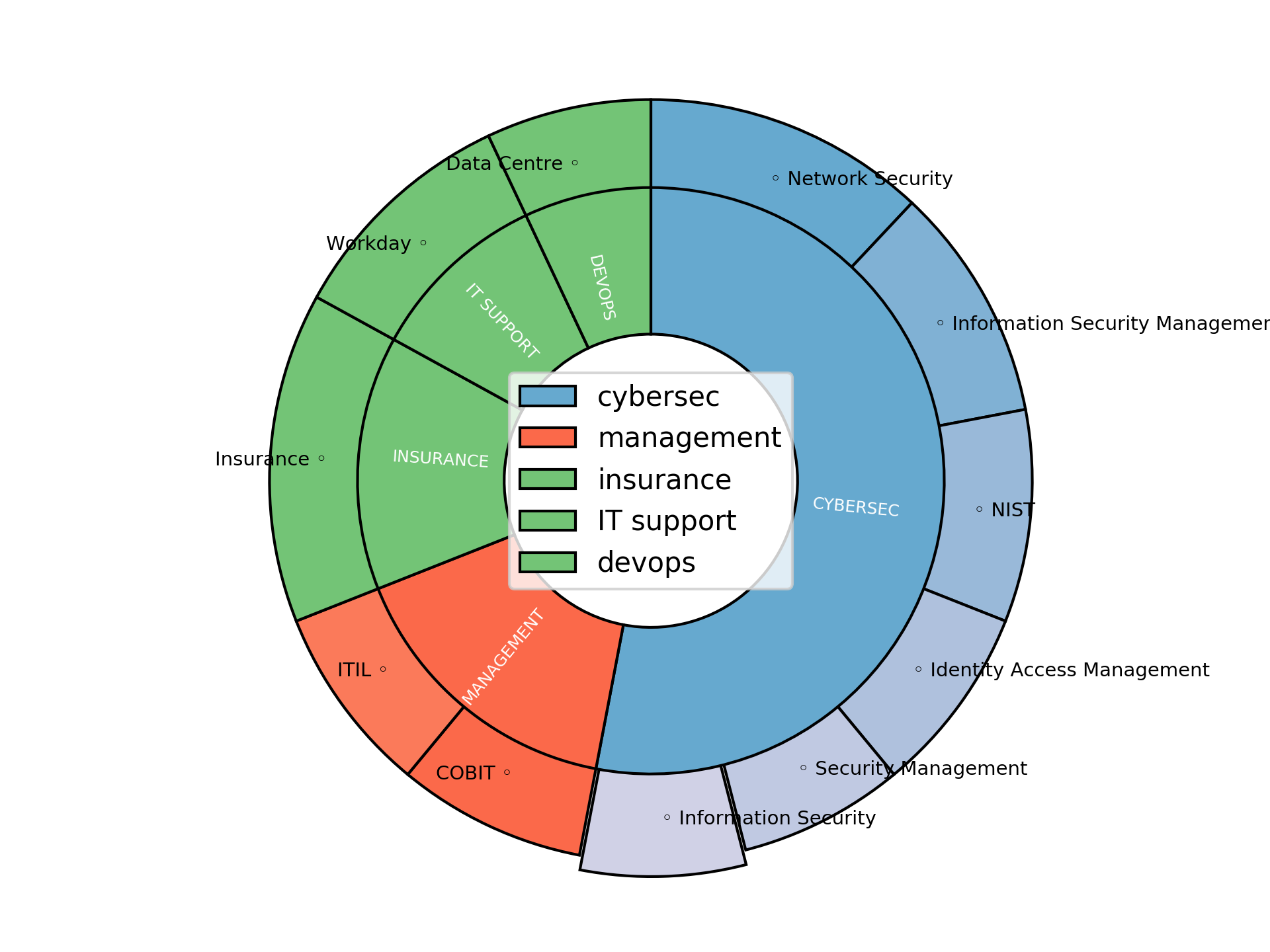 Disaggregated Visualization Graph for IT Security Analyst