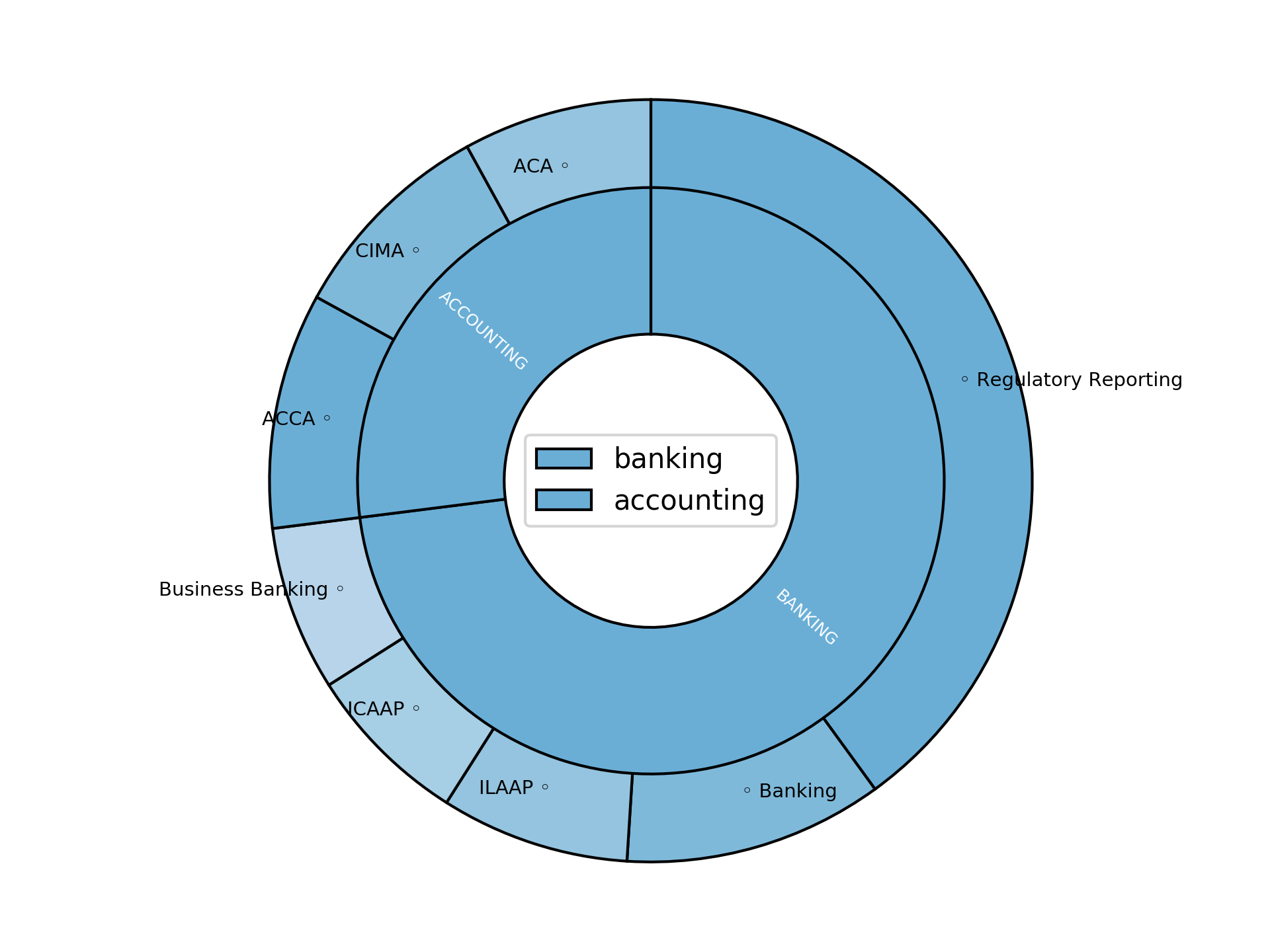 Disaggregated Visualization Graph for Reporting Accountant