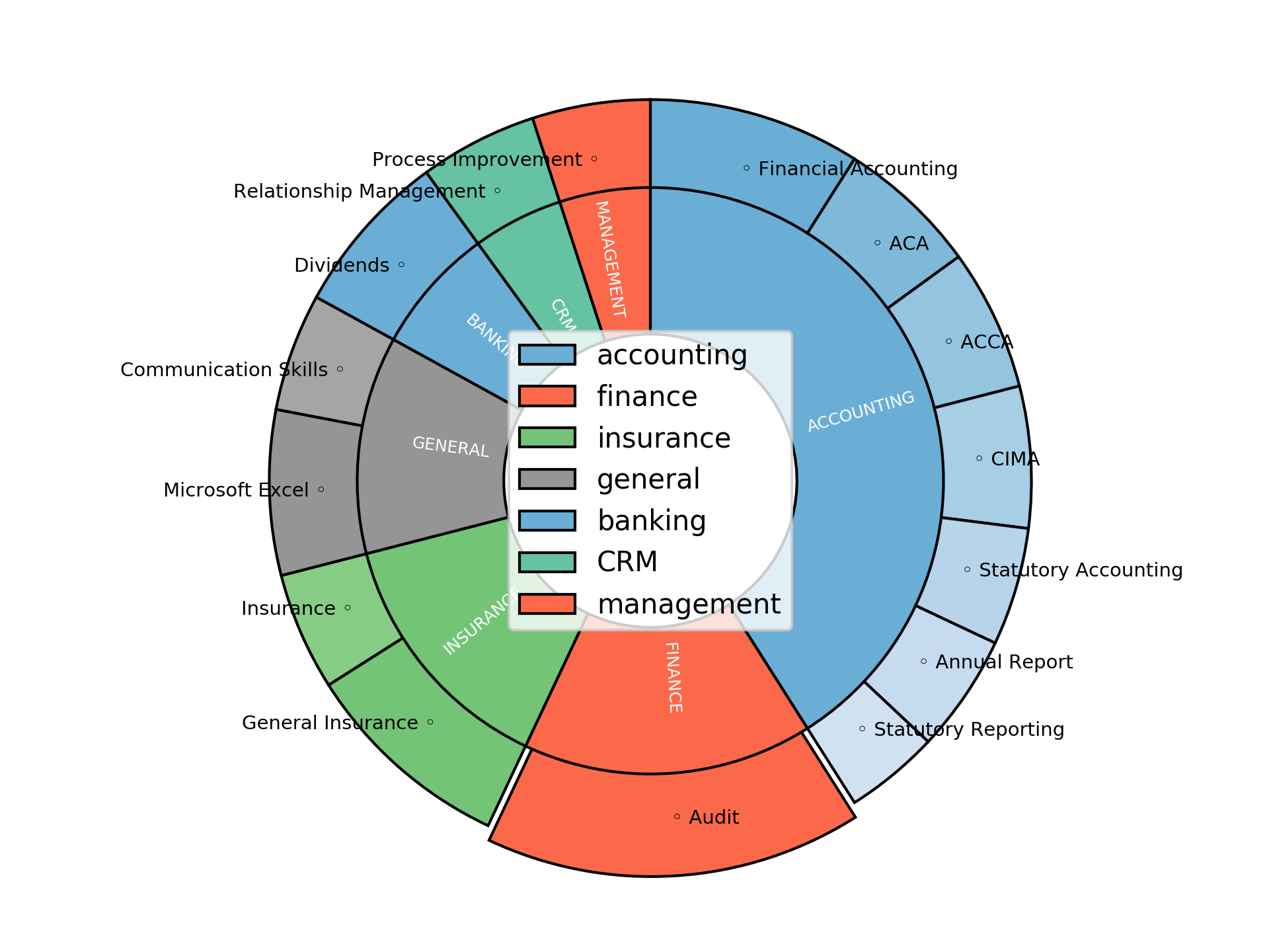 Disaggregated Visualization Graph for Senior Financial Accountant